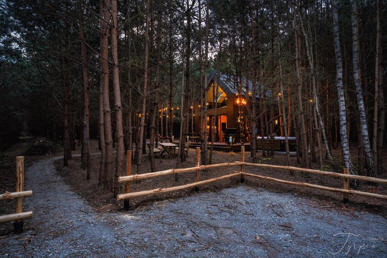 Вілла Dziupla House Czarna  Екстер'єр фото